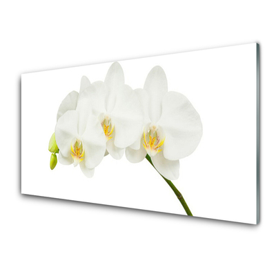 Foto schilderij op glas Shoots orchideebloemen nature