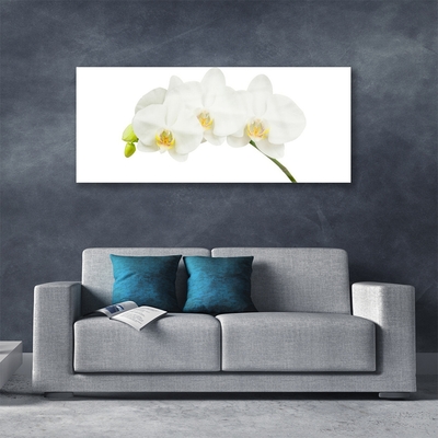 Foto schilderij op glas Shoots orchideebloemen nature