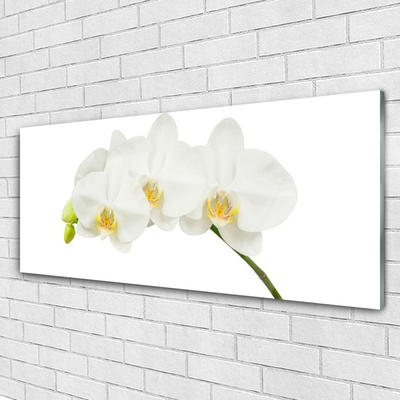 Foto schilderij op glas Shoots orchideebloemen nature