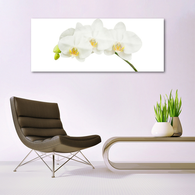 Foto schilderij op glas Shoots orchideebloemen nature