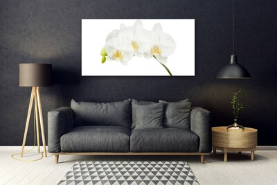 Foto schilderij op glas Shoots orchideebloemen nature