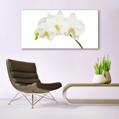 Foto schilderij op glas Shoots orchideebloemen nature