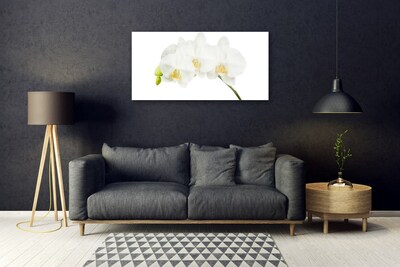 Foto schilderij op glas Shoots orchideebloemen nature