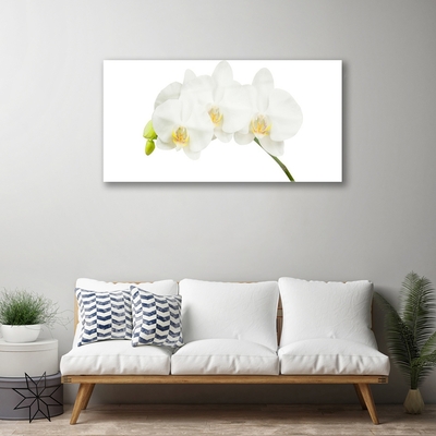 Foto schilderij op glas Shoots orchideebloemen nature