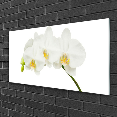 Foto schilderij op glas Shoots orchideebloemen nature