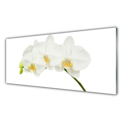 Foto schilderij op glas Shoots orchideebloemen nature