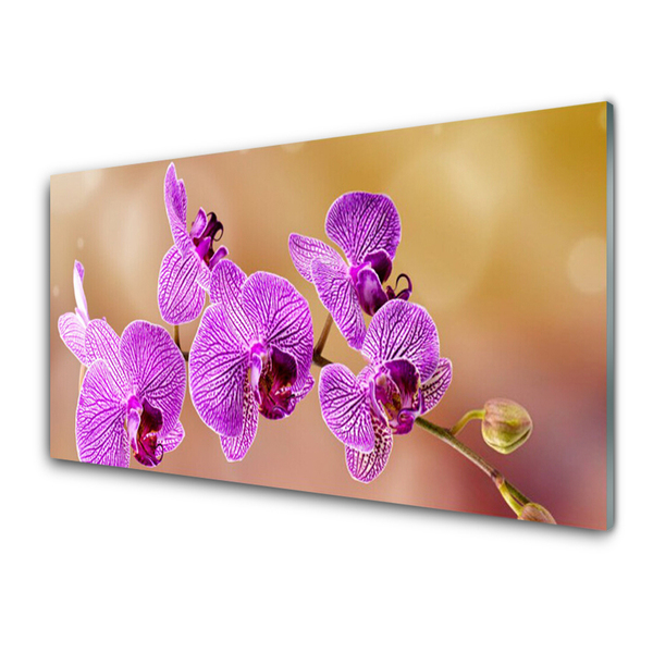 Foto schilderij op glas Shoots orchideebloemen nature