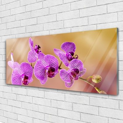 Foto schilderij op glas Shoots orchideebloemen nature