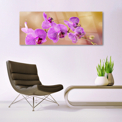 Foto schilderij op glas Shoots orchideebloemen nature