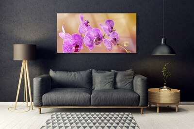 Foto schilderij op glas Shoots orchideebloemen nature