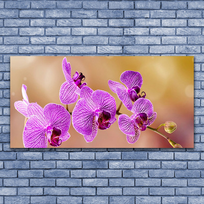 Foto schilderij op glas Shoots orchideebloemen nature