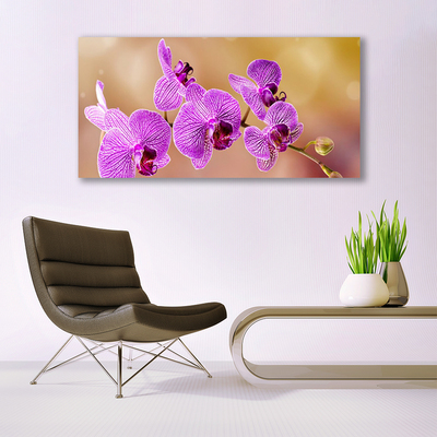 Foto schilderij op glas Shoots orchideebloemen nature