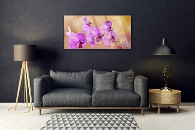 Foto schilderij op glas Shoots orchideebloemen nature