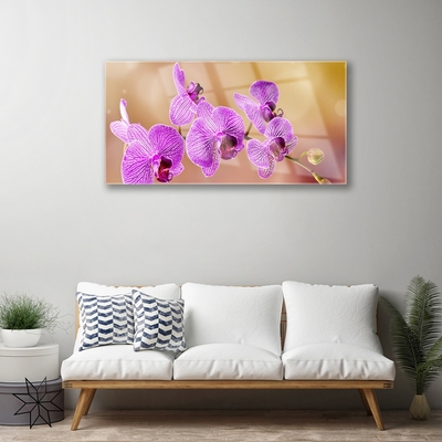 Foto schilderij op glas Shoots orchideebloemen nature