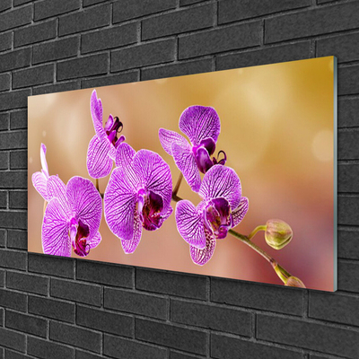 Foto schilderij op glas Shoots orchideebloemen nature