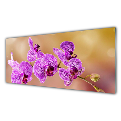 Foto schilderij op glas Shoots orchideebloemen nature