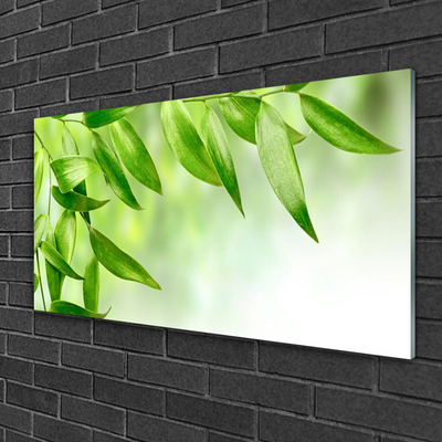 Foto schilderij op glas Green leaves nature