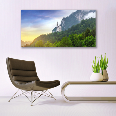 Foto schilderij op glas Castle in the mountains bos landschap