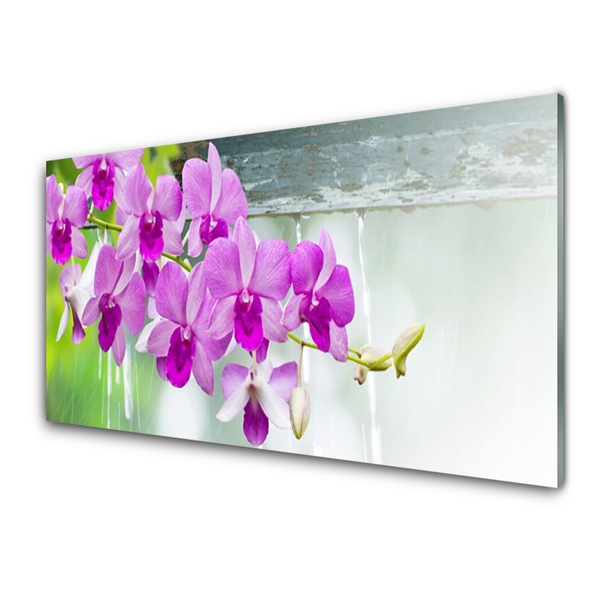 Foto schilderij op glas Orchids nature drops