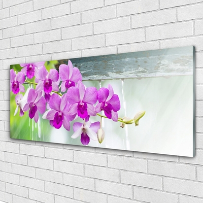 Foto schilderij op glas Orchids nature drops