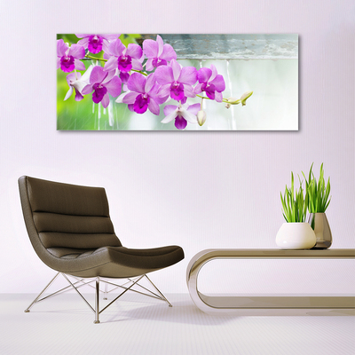 Foto schilderij op glas Orchids nature drops