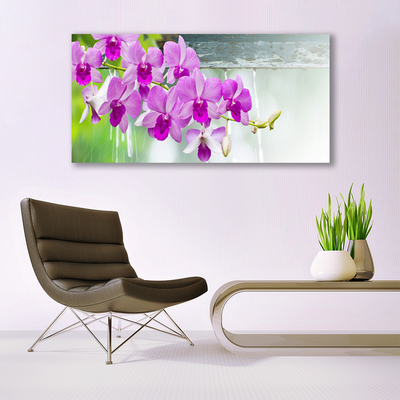 Foto schilderij op glas Orchids nature drops