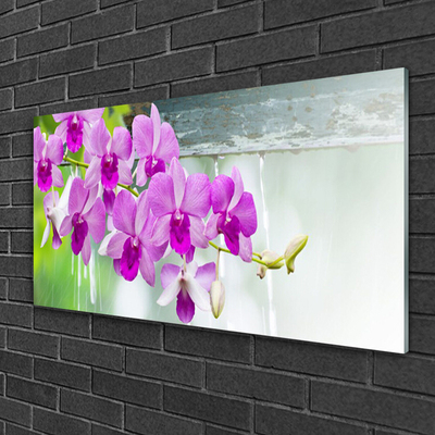 Foto schilderij op glas Orchids nature drops