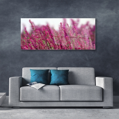 Foto schilderij op glas Bloemen weide natuur plant