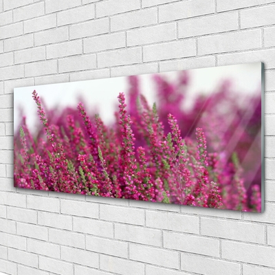 Foto schilderij op glas Bloemen weide natuur plant