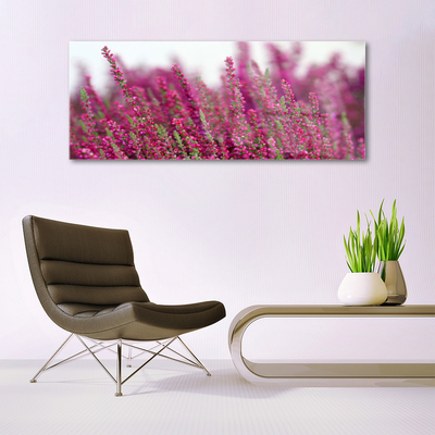 Foto schilderij op glas Bloemen weide natuur plant