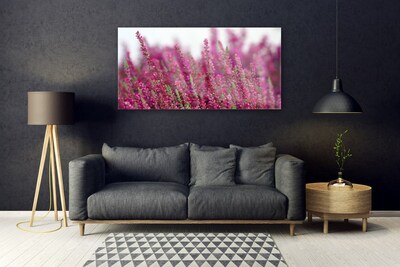 Foto schilderij op glas Bloemen weide natuur plant