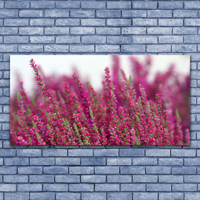 Foto schilderij op glas Bloemen weide natuur plant