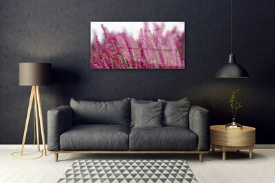 Foto schilderij op glas Bloemen weide natuur plant