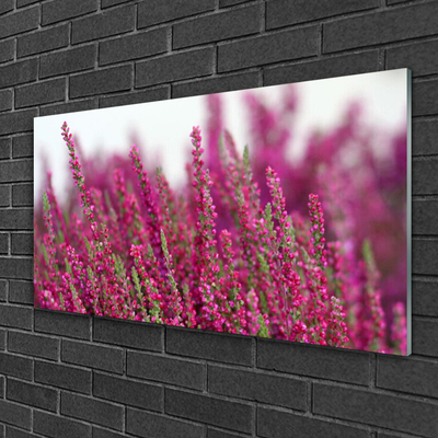 Foto schilderij op glas Bloemen weide natuur plant