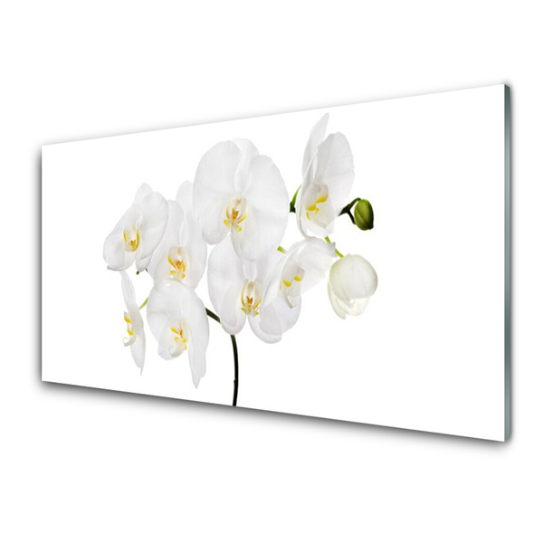 Foto schilderij op glas Witte bloemen van de orchidee