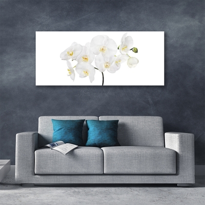 Foto schilderij op glas Witte bloemen van de orchidee