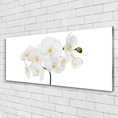 Foto schilderij op glas Witte bloemen van de orchidee