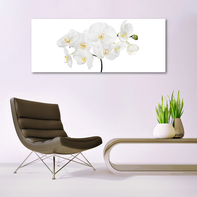 Foto schilderij op glas Witte bloemen van de orchidee