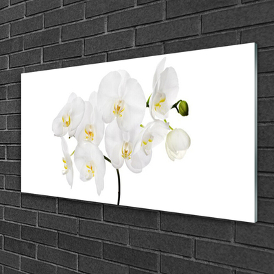 Foto schilderij op glas Witte bloemen van de orchidee