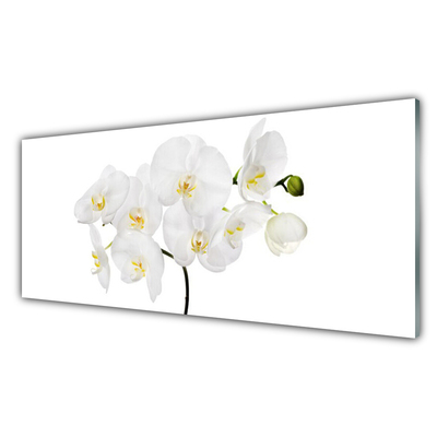 Foto schilderij op glas Witte bloemen van de orchidee
