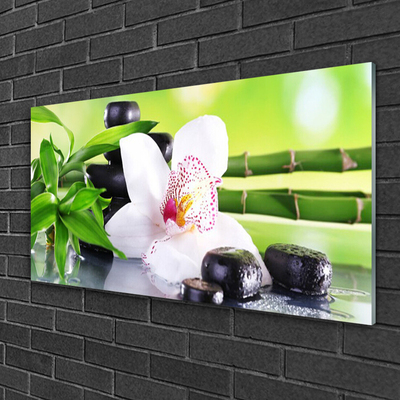 Foto schilderij op glas Orchid bladeren van het bamboe