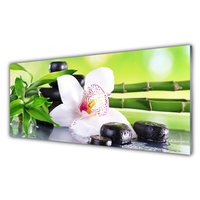 Foto schilderij op glas Orchid bladeren van het bamboe