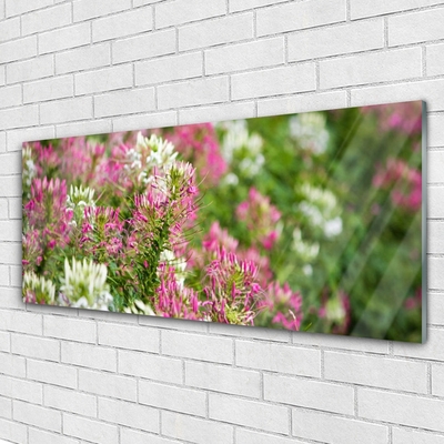 Foto schilderij op glas Bloemen wilde weide natuur