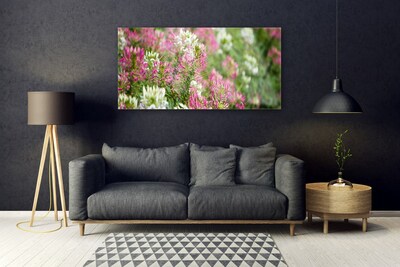 Foto schilderij op glas Bloemen wilde weide natuur