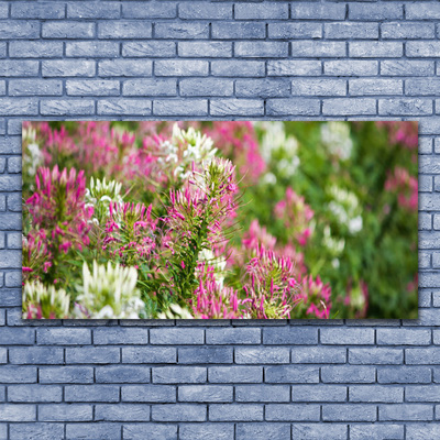 Foto schilderij op glas Bloemen wilde weide natuur