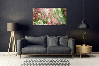 Foto schilderij op glas Bloemen wilde weide natuur