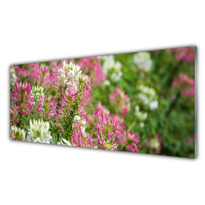 Foto schilderij op glas Bloemen wilde weide natuur