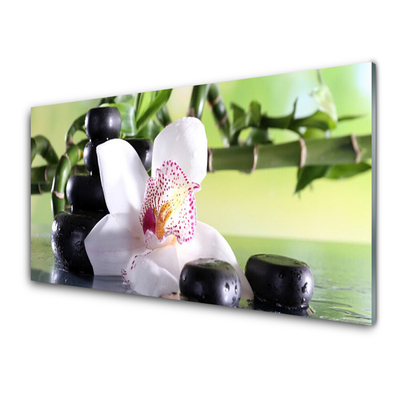 Foto schilderij op glas Bamboo orchid stones