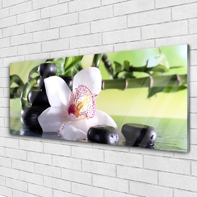 Foto schilderij op glas Bamboo orchid stones