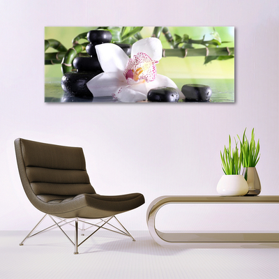 Foto schilderij op glas Bamboo orchid stones